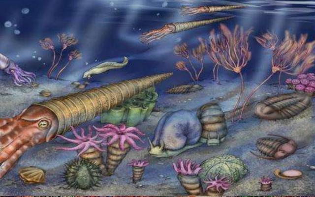 为什么越来越多的科学家认为章鱼可能不是地球的生物？-第14张图片-太平洋在线下载