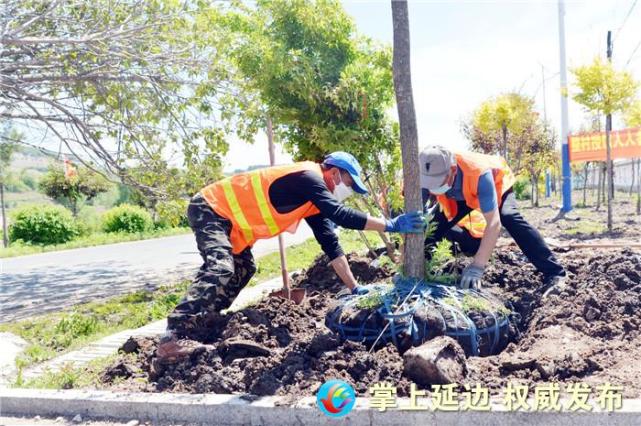 掌上依兰客户端黑河市城乡社区网格化平台电脑版-第2张图片-太平洋在线下载