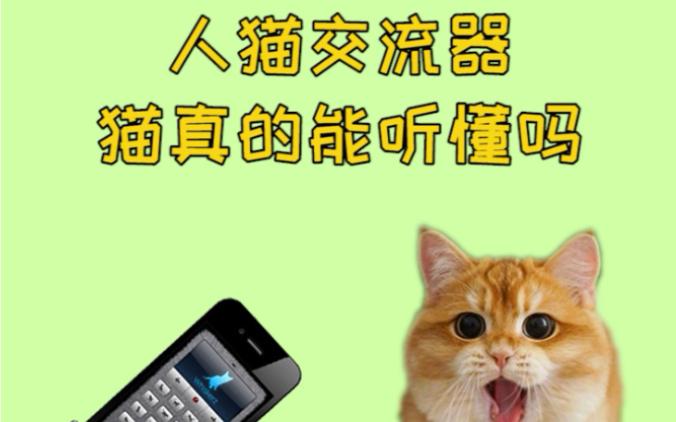 猫咪交流器苹果版猫咪最新海外地域网名-第2张图片-太平洋在线下载