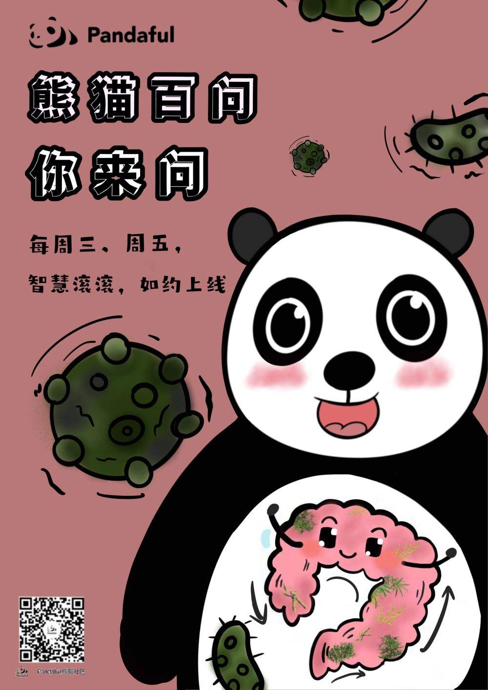 熊猫社区苹果版熊猫社区破解版ios