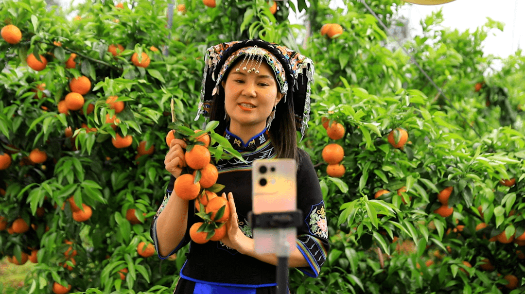 水果手机:江永宋春姣：新农人逐梦果园 绘就“家门口共富圈”-第3张图片-太平洋在线下载
