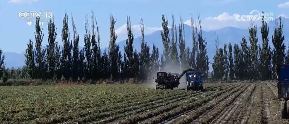 “新农具”“新要素”“新农人”……数字技术赋能新疆农业 提升土地利用精准度-第9张图片-太平洋在线下载